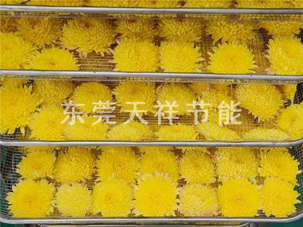 熱泵菊花烘干機(jī)